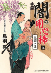 闇の用心棒【九】血闘ヶ辻