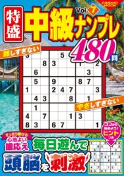 特盛中級ナンプレVol.7