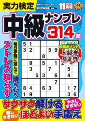 実力検定中級ナンプレ 11月号